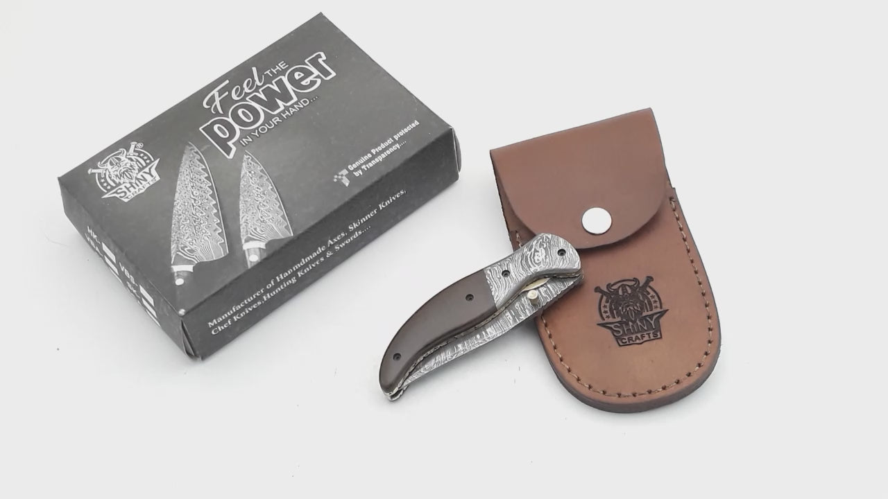 Beautiful Damascus Pocket knife with Damascus Handle & Blade, Folding knife with liner lock, Camping Knife, Hunting knife with Premium Leather Sheath (FK-14)